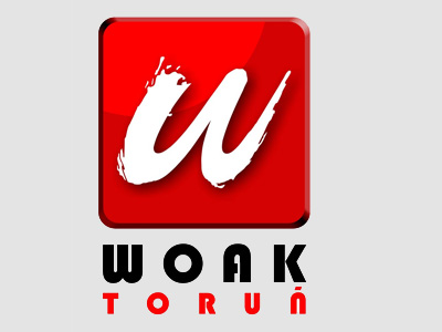 Logo partnera