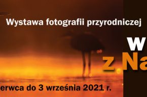 „Oko w oko z Naturą” – wystawa fotograficzna