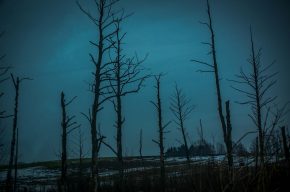 “Zamalowane okna” – wystawa fotografii Anny Liminowicz