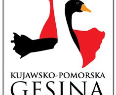 Kujawsko-Pomorska gęsina na św. Marcina. Finałowy Festiwal Gęsiny