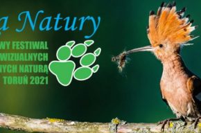 Wystawa konkursowa | Sam na sam z Naturą