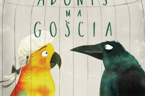 Adonis ma gościa