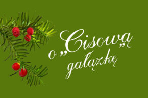 Gala finałowa XVI Ogólnopolskiego Konkursu Poetyckiego o "Cisową gałązkę" im. Leona Wyczółkowskiego