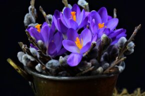 Warsztaty Florystyczne