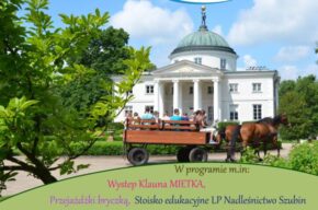 XX Festyn Integracyjny "Zielone Serduszko"