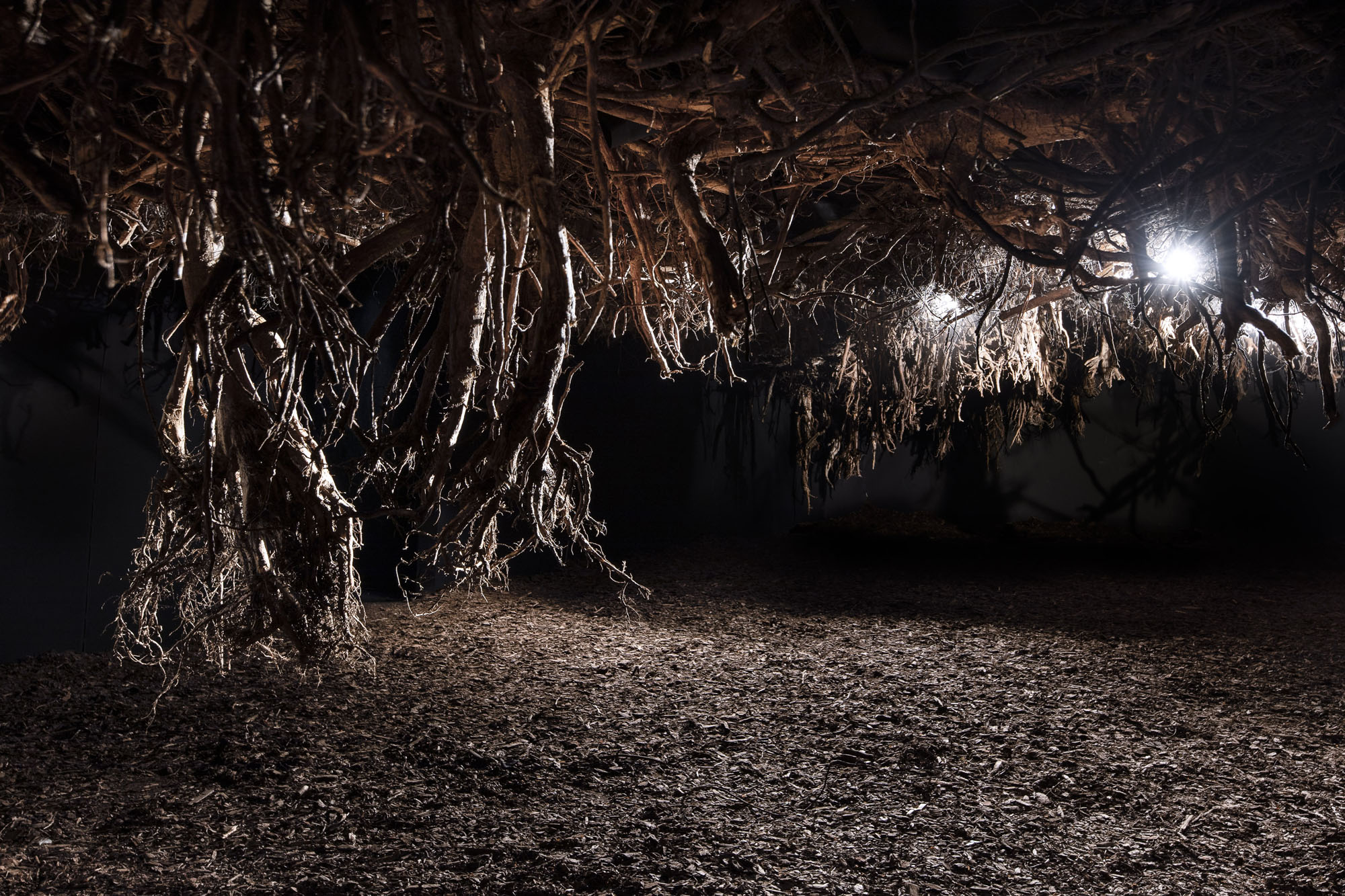 Joanna Rajkowska. Rhizopolis