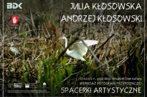 WYSTAWA PRZYRODNICZA – SPACERKI ARTYSTYCZNE