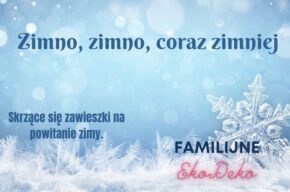 Familijne EkoDeko – skrzące się zawieszki na powitanie zimy