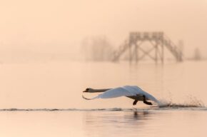 „Opowieść o powrotach” – wystawa fotografii towarzysząca XV Międzynarodowemu Festiwalowi „Sztuka Natury”