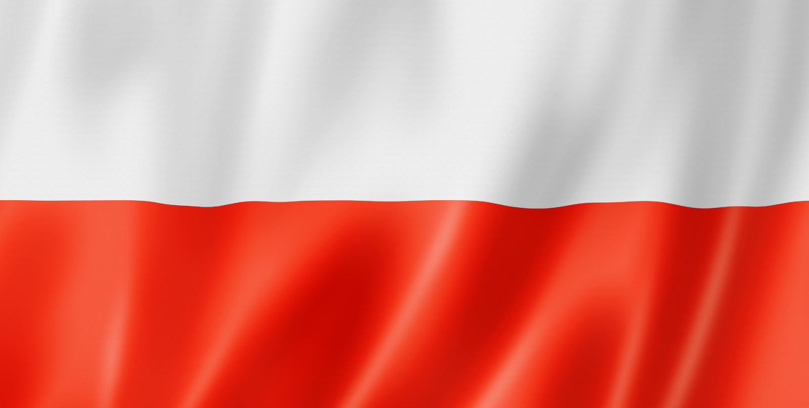 Narodowe Święto Niepodległości - obchody w Świeciu