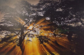 Wystawa fotografii Moniki Mazur