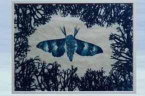 Wystawa fotografii Marka Noniewicza <i>Zarys biologii fantastycznej</i>