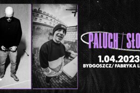 Paluch x Słoń