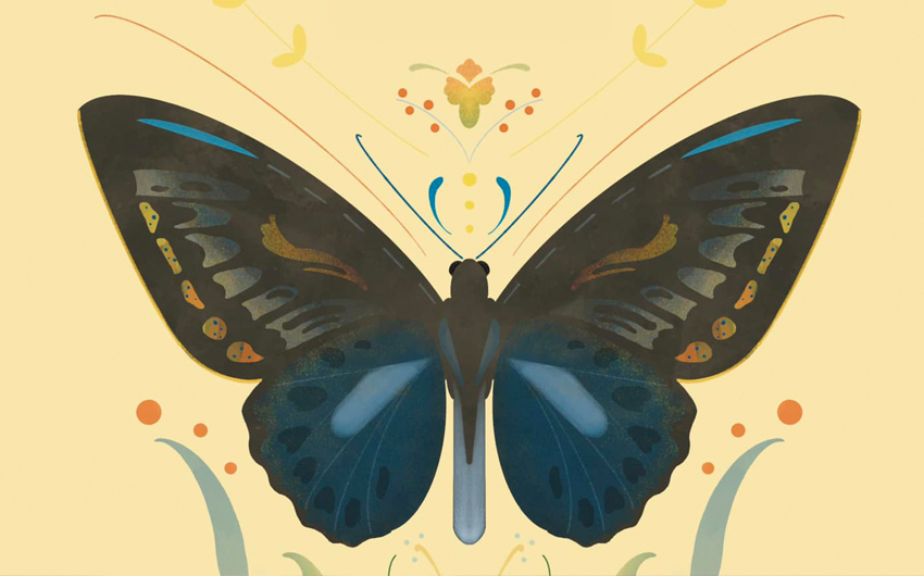 Kalendarza Świąt Nietypowych: Dzień Motyla