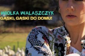 <i>Gąski, gąski do domu</i>, stand-up, Wiolka Walaszczyk