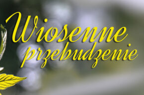 Cztery pory roku poezji – Wiosenne przebudzenie
