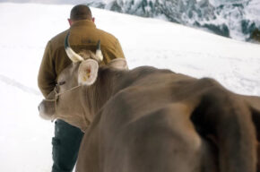 Film: “Kawałek nieba” (136')