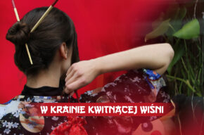 Półkolonie | W krainie kwitnącej wiśni