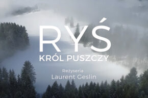 KINO DLA CAŁEJ RODZINY: Ryś. Król puszczy