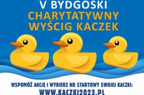 V Charytatywny Wyścig Kaczek Rotary