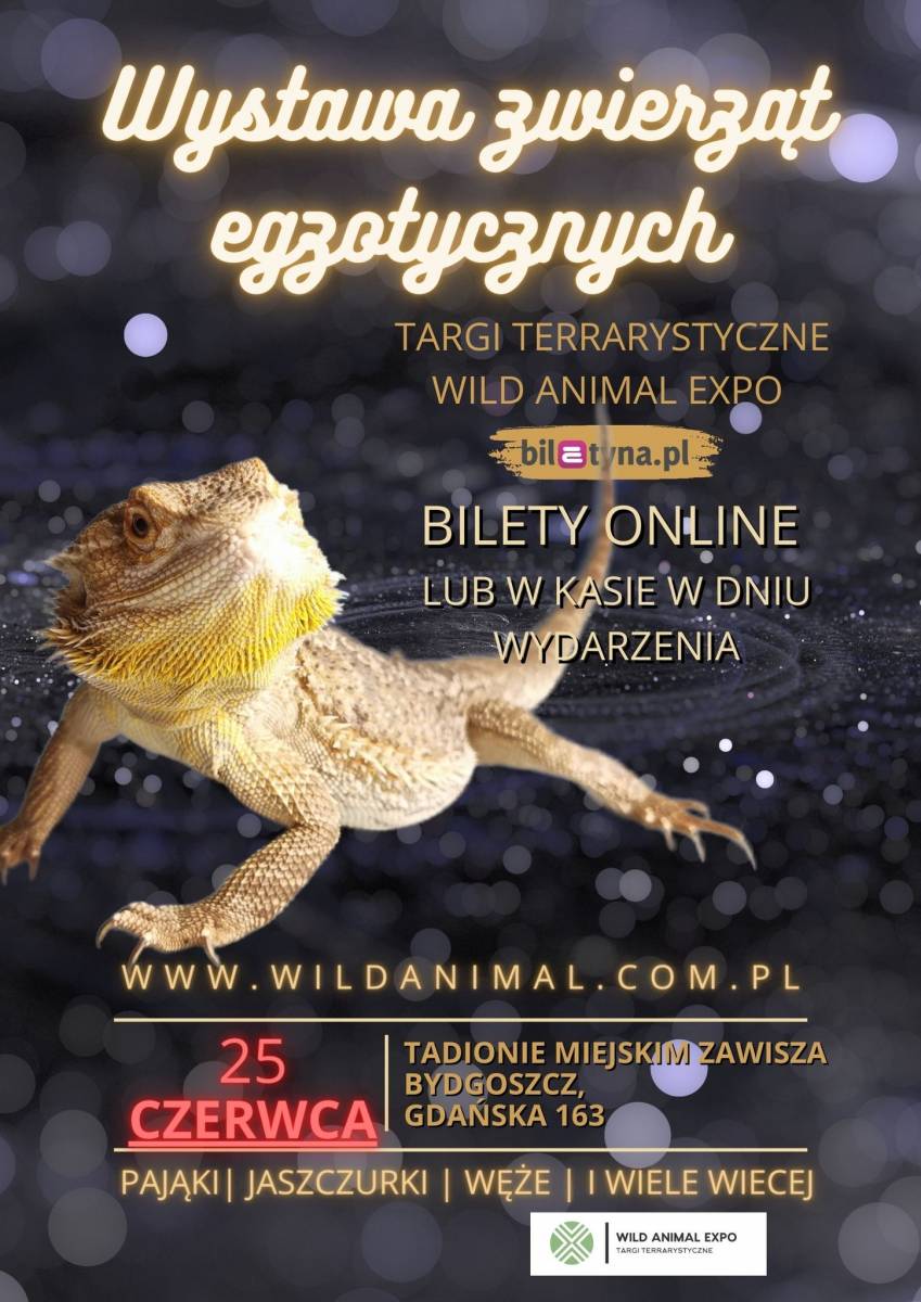 Targi Terrarystyczne Bydgoszcz Wild Animal Expo - wystawa zwierząt egzotycznych