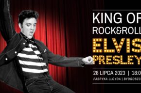 Elvis Presley - Rock'n'Roll night!