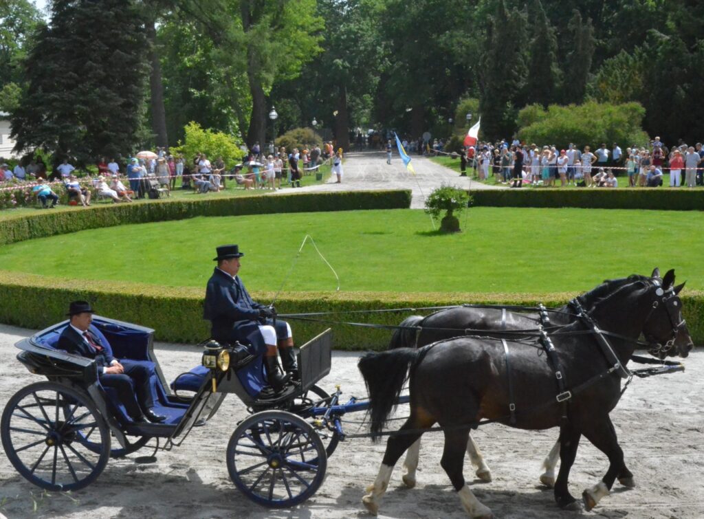 XXVII Konkurs Pojazdów Konnych