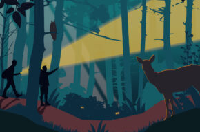 Spacer z Leśniczym – nocny survival