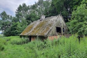 Finisaż wystawy „Zachwyt”: oprowadzanie Eli Jabłońskiej i spotkanie z Dominiką Kiss-Orską