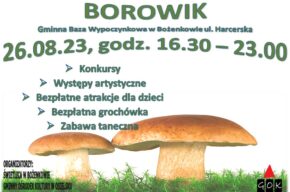 BOROWIK