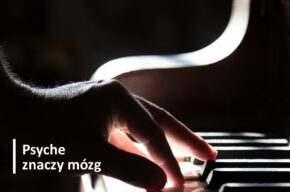 Mózg człowieka w relacji z muzyką.