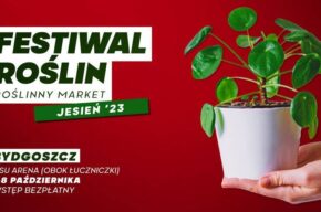 Festiwal Roślin w Bydgoszczy - wielki targ roślin w supercenach