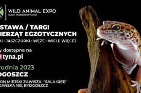 Targi Terrarystyczne Bydgoszcz Wild Animal Expo - wystawa zwierząt egzotycznych