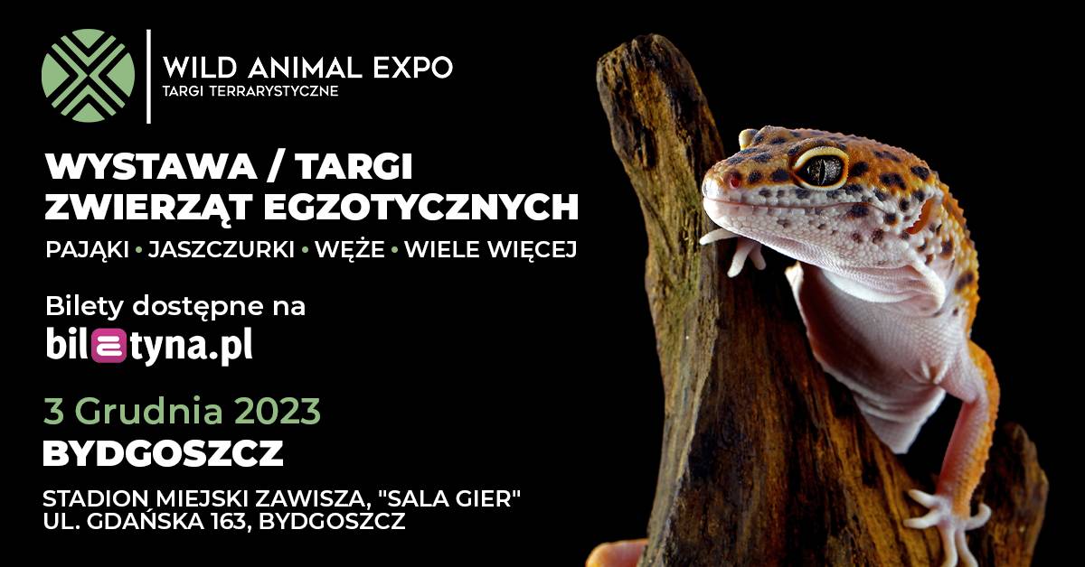 Targi Terrarystyczne Bydgoszcz Wild Animal Expo - wystawa zwierząt egzotycznych