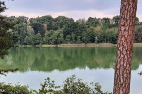 Kultura na świeżym vol. 18. Koronowo.