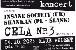 Insane Society, Skankan, Cela nr 3 - koncert