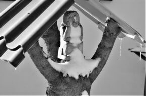 <i>Frasuś</i> – wystawa fotografii Grzegorza Hetziga