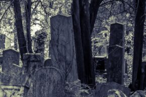 KaMuH: <i>Ewangelicka Atlantyda – cmentarze Pomorza i Kujaw</i>, spotkanie z Michałem P. Wiśniewskim
