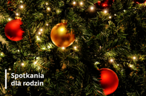 Choinki czas. Opowieść o drzewach symbolizujących nadzieję i życie