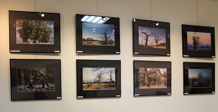 Drzewa Mocy – wystawa fotografii
