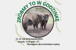 ZRÓBMY TO W GODZINKĘ