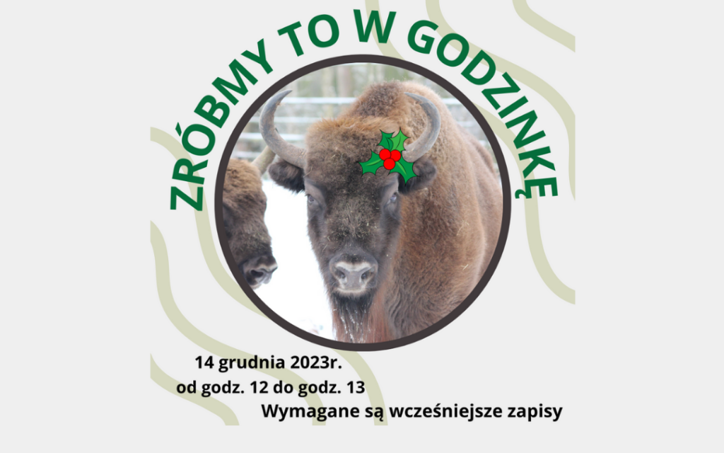 ZRÓBMY TO W GODZINKĘ