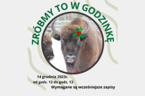 ZRÓBMY TO W GODZINKĘ