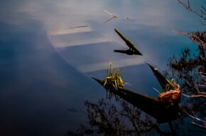 TO JA! – wystawa prac KOŁA FOTOGRAFICZNEGO