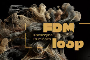 Katarzyna Rumińska: <i>FDM Loop</i> – wystawa