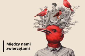 Ptaki i ludzie, opowieść o relacjach między drapieżnikami