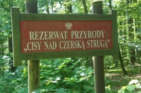 Kultura na świeżym. Wyprawy kobiece vol. 22. Z Czerska do Tucholi wzdłuż Czerskiej Strugi
