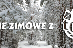 Ferie zimowe z Tucholskim Ośrodkiem Kultury