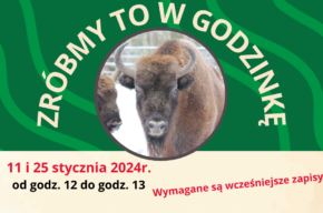 „ZRÓBMY TO W GODZINKĘ” – edycja styczniowa