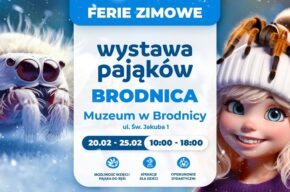 Wystawa pająków
